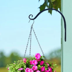 Style Selections -Style Selections 149963 60781643