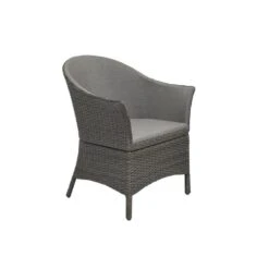 Style Selections Set Of 2 Brown Woven Metal Stationary Dining Chair(s) With Woven Seat